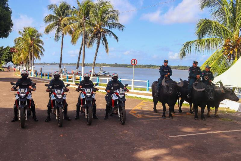 Policiais em motocicletas e búfalos 
