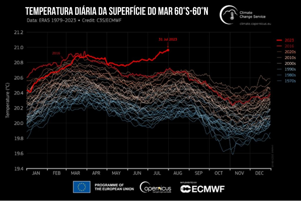 C3S/ECMWF | Temperatura global diária da superfície do mar